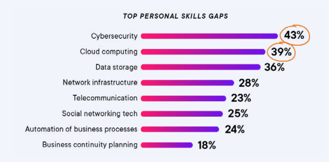 Tech Skills Gap